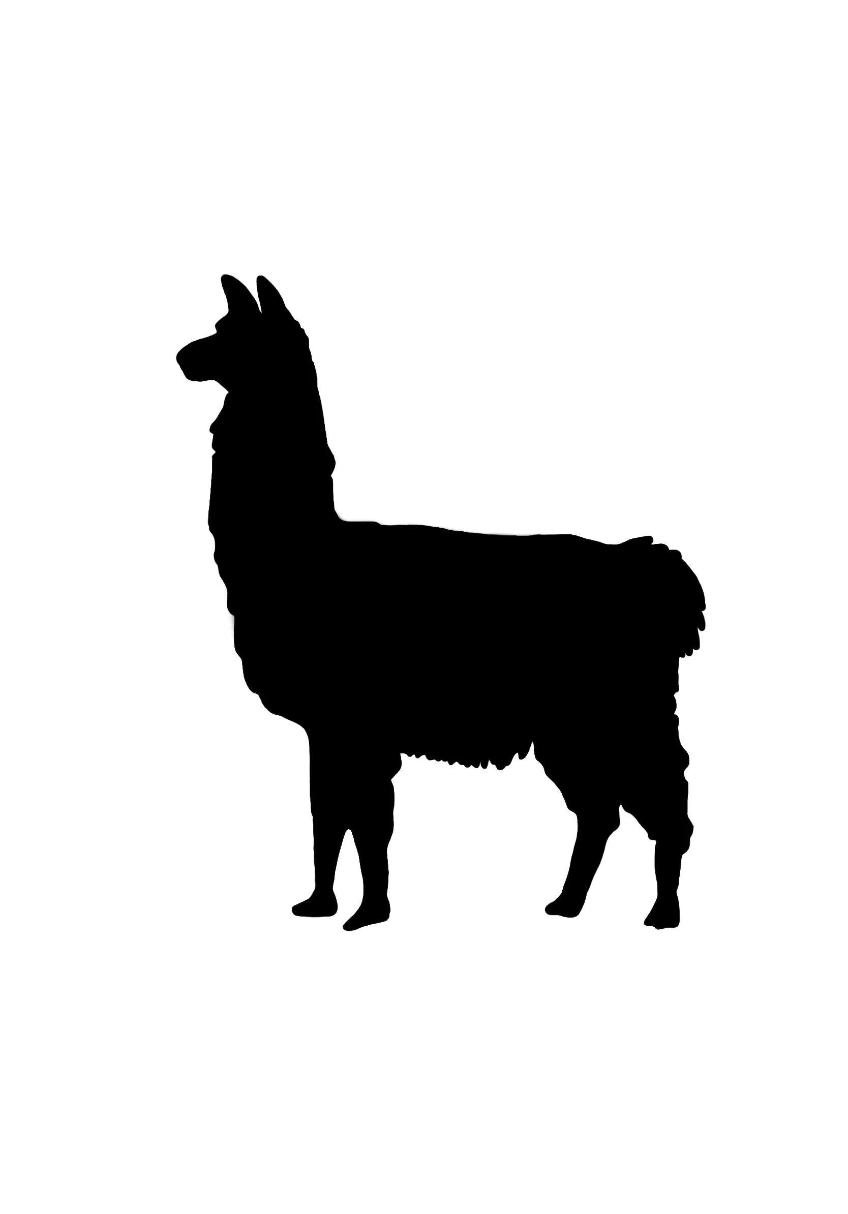 Alpaca Boot Midweight Sock - Image 8